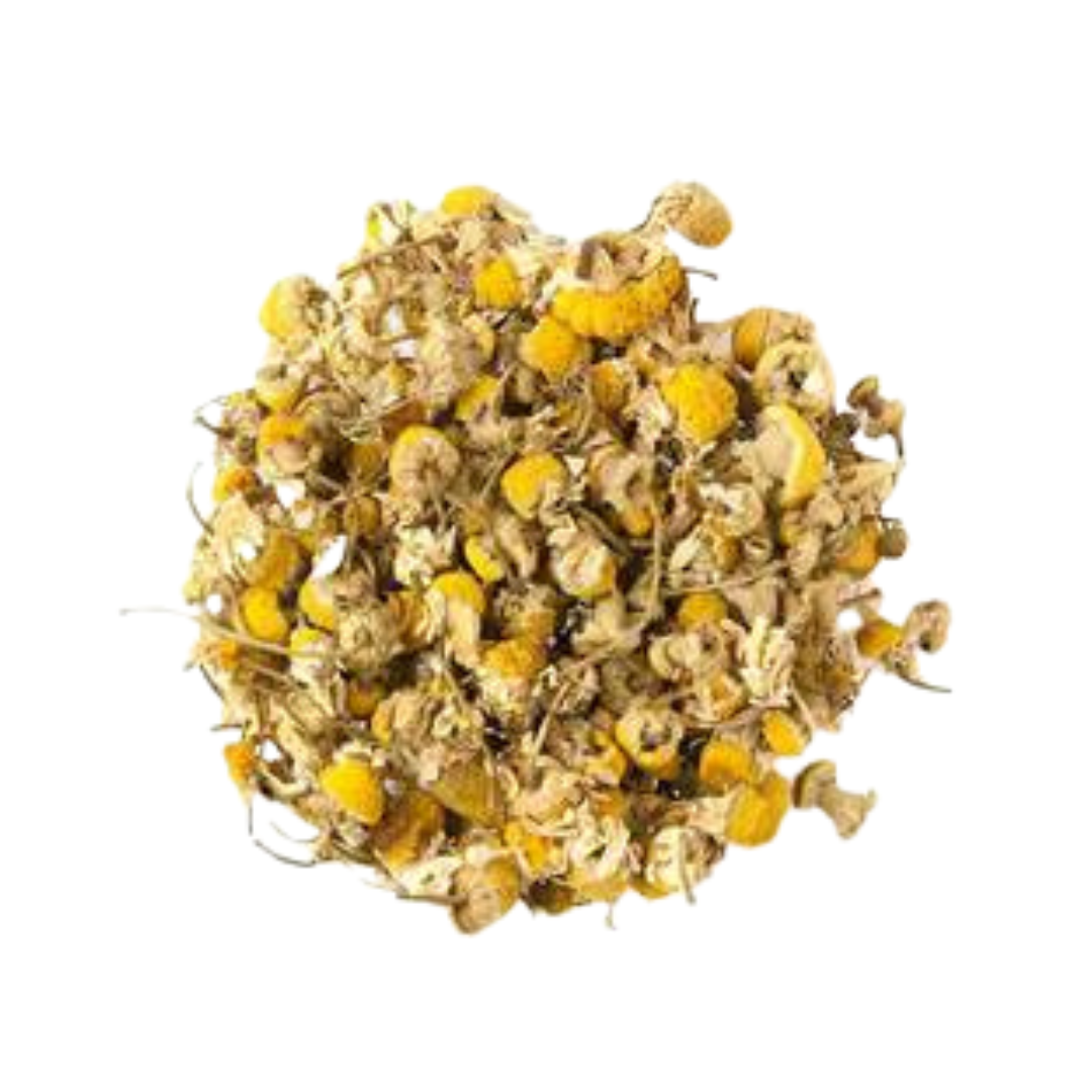 Egyptian Camomile Tea for Sleep & Anxiety Reduction